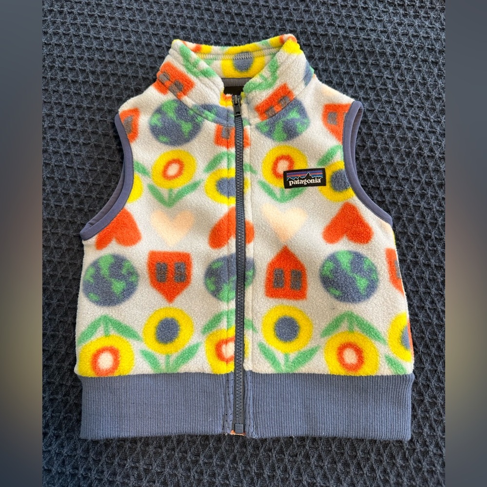 Patagonia Synchilla Fleece Vest